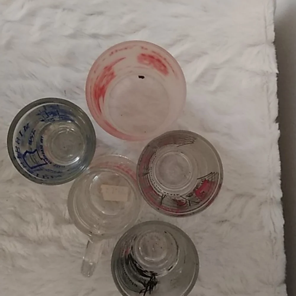 shot glass Bundle Of 5 USA States